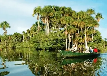 Discover Tambopata 3D2N Tours