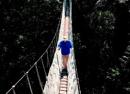canopy walkway tour