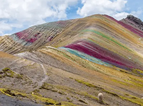 Palccoyo Mountains Tour