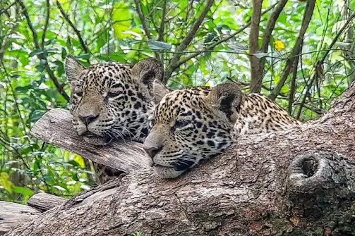 tours from puerto maldonado airport